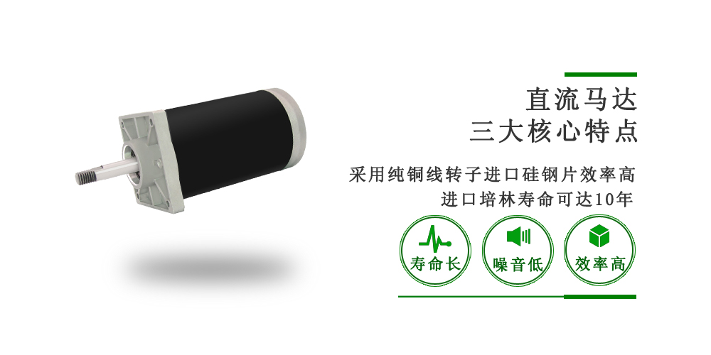 垃圾處理器電機(jī)