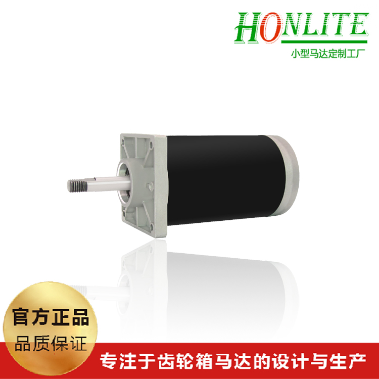 垃圾處理器直流電機