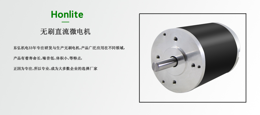 無(wú)刷直流微電機(jī)